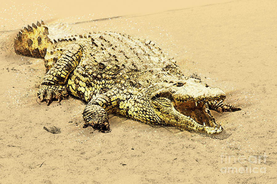 Crocodile Photograph - Nile River Crocodile by Humorous Quotes