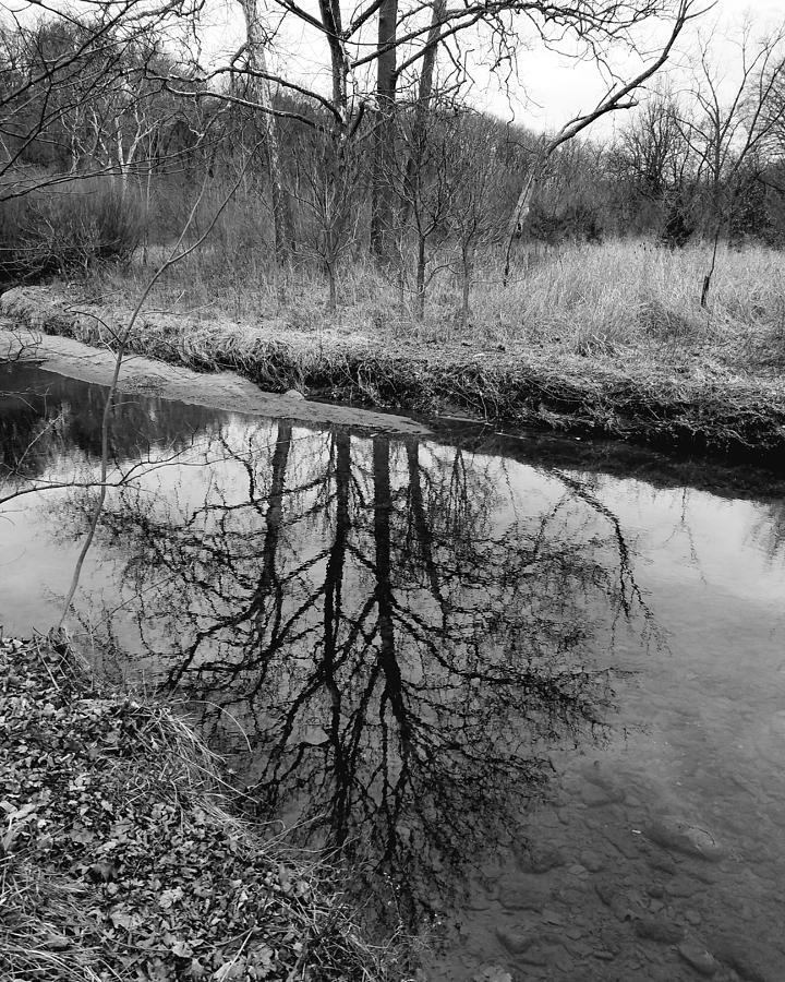 Nine Mile Run Reflection Photograph by Michael Hills