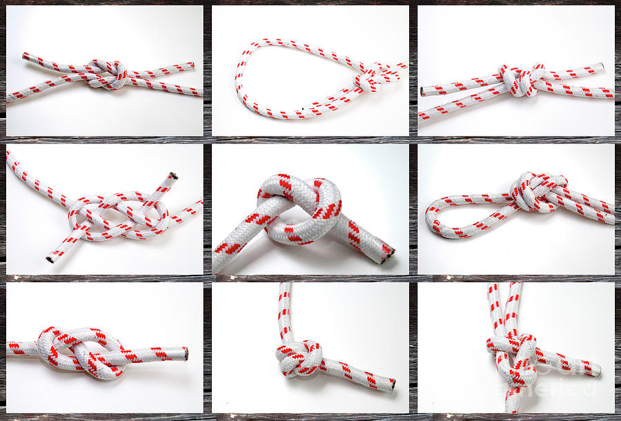 Nine nautical knots  Photograph by Ilan Rosen