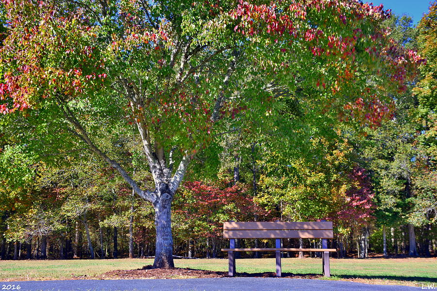 Ninety Six National Historic Site Bench In Autumn  Photograph by Lisa Wooten