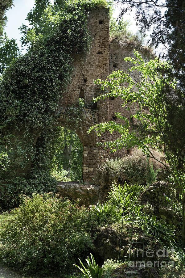 Ninfa Garden, Rome Italy 2  Photograph by Perry Rodriguez