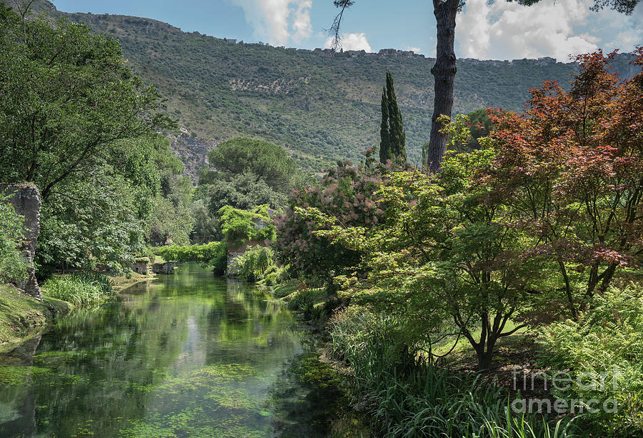 Ninfa Garden, Rome Italy 5 Photograph by Perry Rodriguez