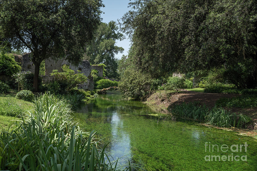 Ninfa Garden, Rome Italy 6 Photograph by Perry Rodriguez
