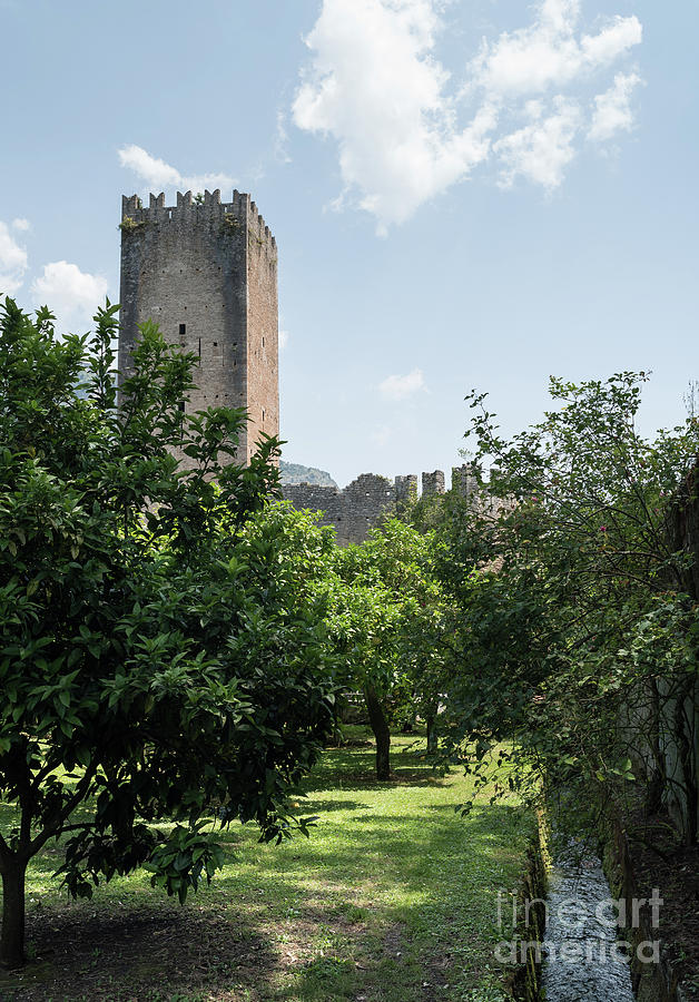 Ninfa Garden, Rome Italy 8 Photograph by Perry Rodriguez