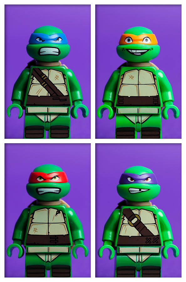 Ninja Turtles Photograph