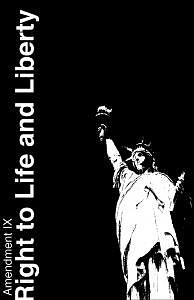 Statue Of Liberty Digital Art - Ninth Amendment by Tony Zupancic