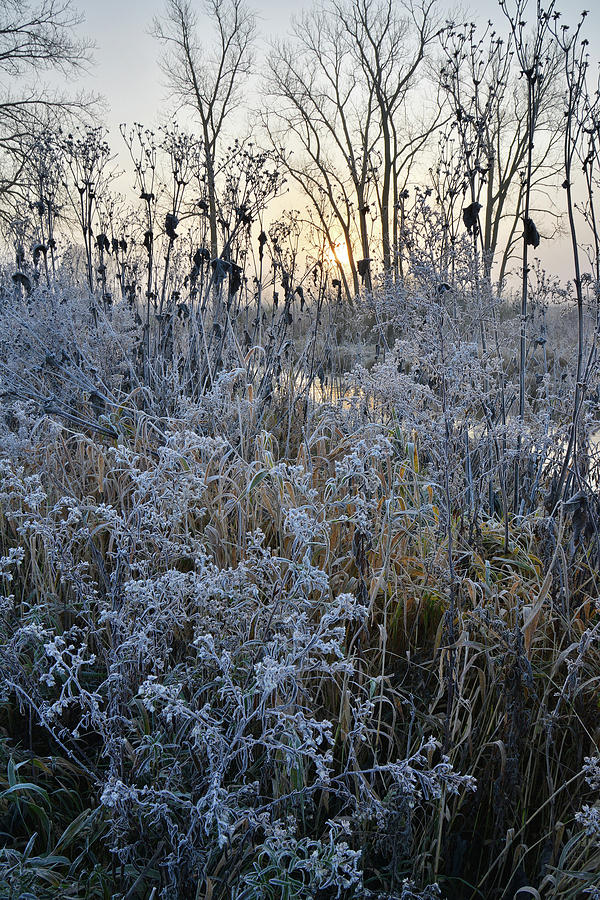 Nippersink Creek Frosty Morning Photograph by Ray Mathis