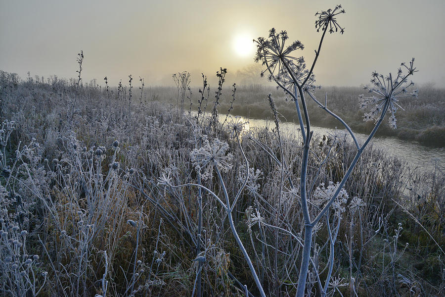 Nippersink Creek in Glacial Park on Foggy Morning Photograph by Ray Mathis