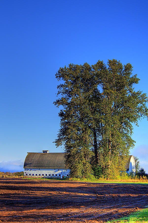 Nisqually Barn Photograph by David Patterson