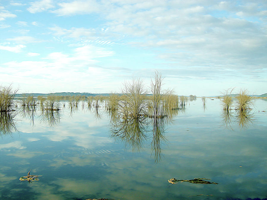 Nisqually High Tide Photograph