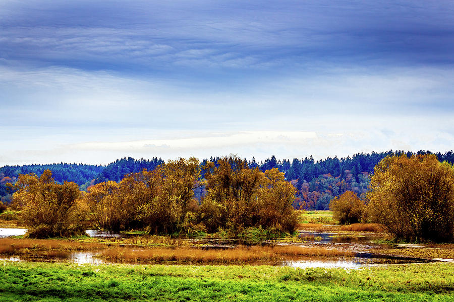 Nisqually Refuge Wetlands and Marsh Photograph by Barry Jones