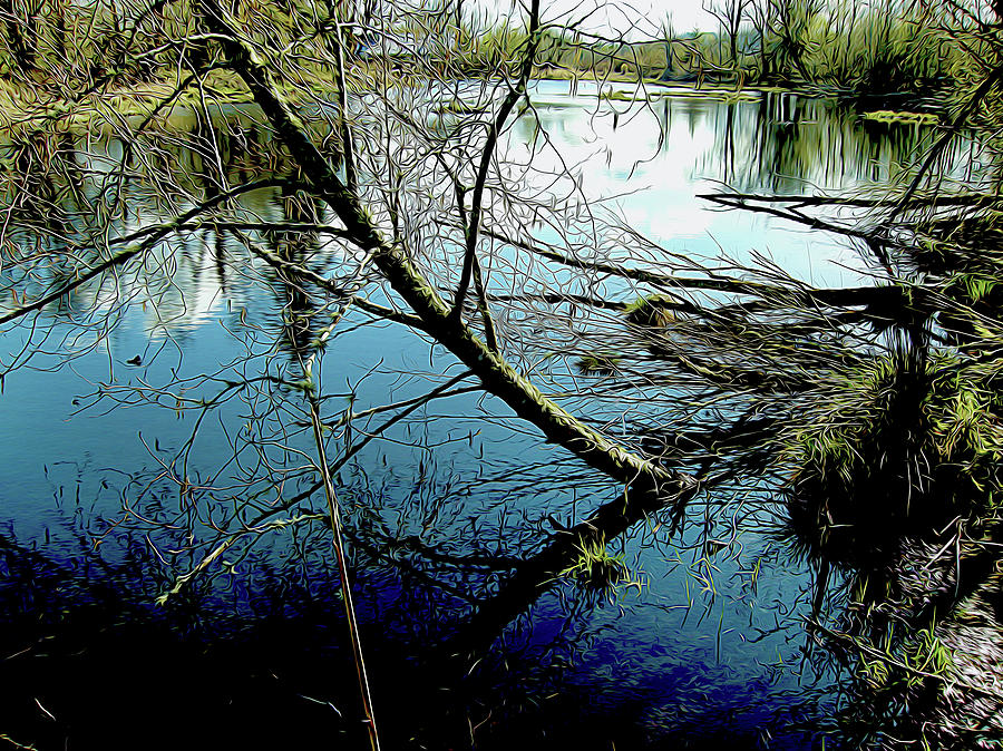 Nisqually Still Water Reflections Photograph