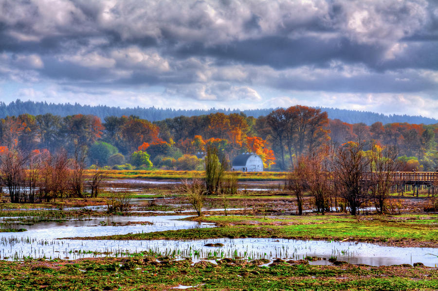 Nature Photograph - Nisqually Wildlife Refuge P34 by David Patterson
