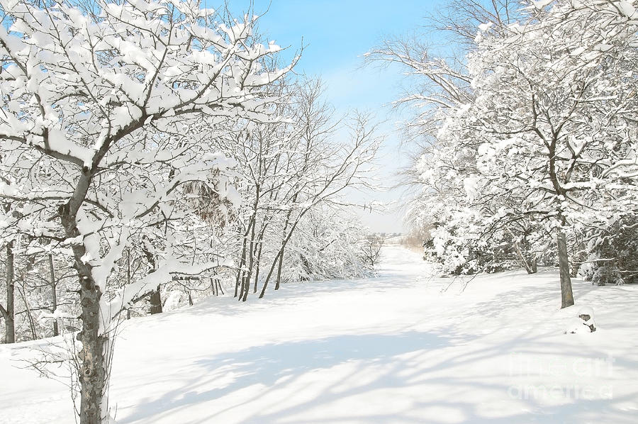 NJ Meadowlands Snowscape II Photograph by Regina Geoghan - Pixels