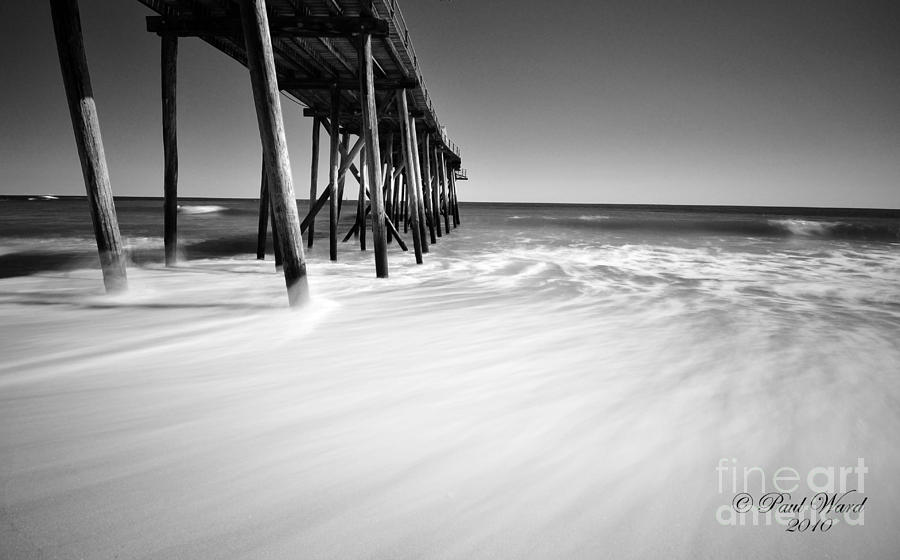 Fish Photograph - NJ shore in black and white by Paul Ward
