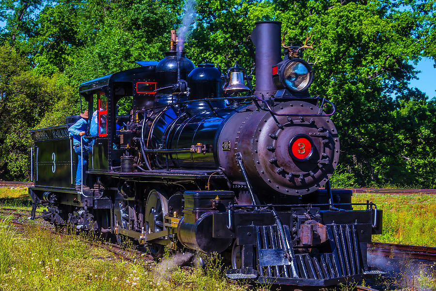 No 3 Jamestown Steam train Photograph by Garry Gay