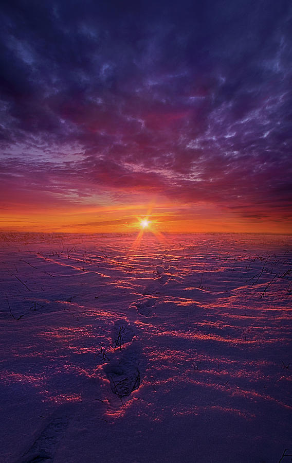 Sunset Photograph - No Clear Border by Phil Koch