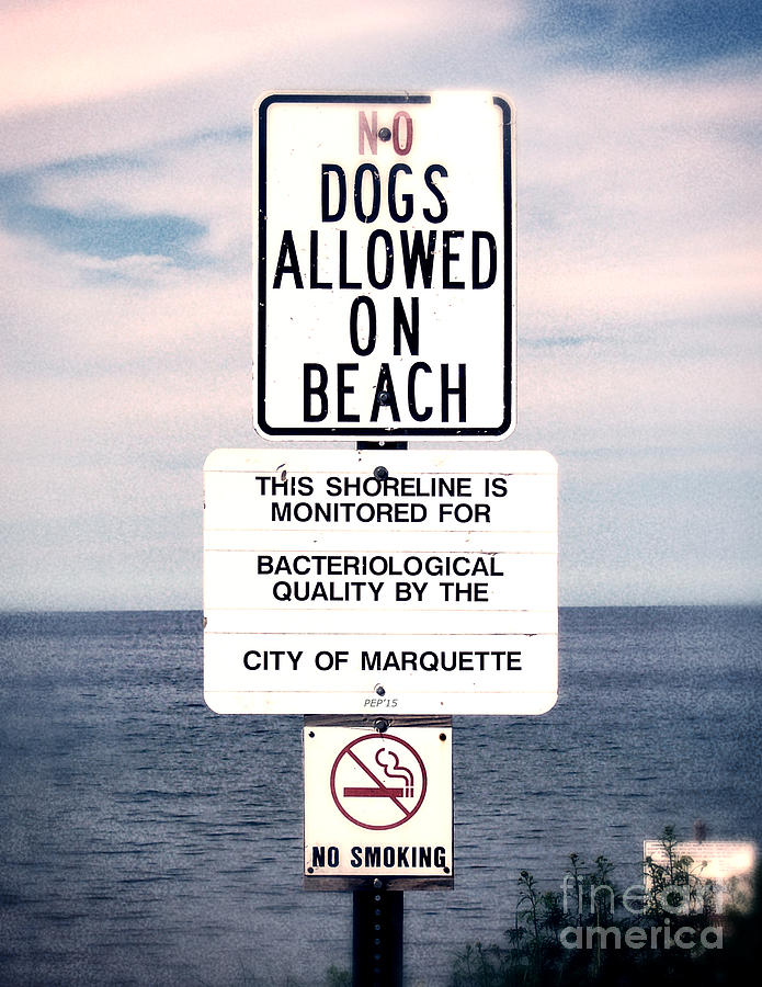 No Dogs Allowed On Beach Photograph by Phil Perkins