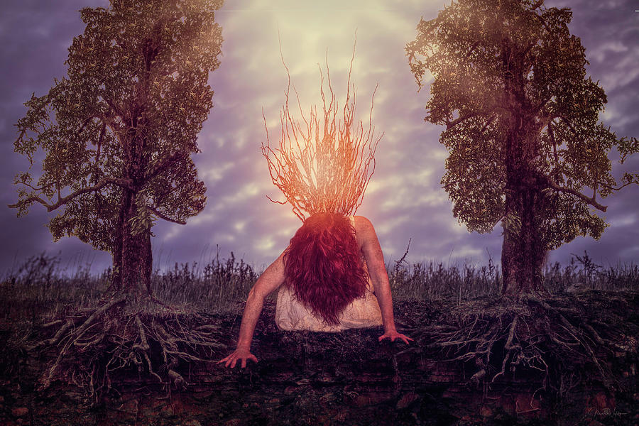 No Earthly Roots by Nicole Wilde No Earthly Roots by Nicole Wilde