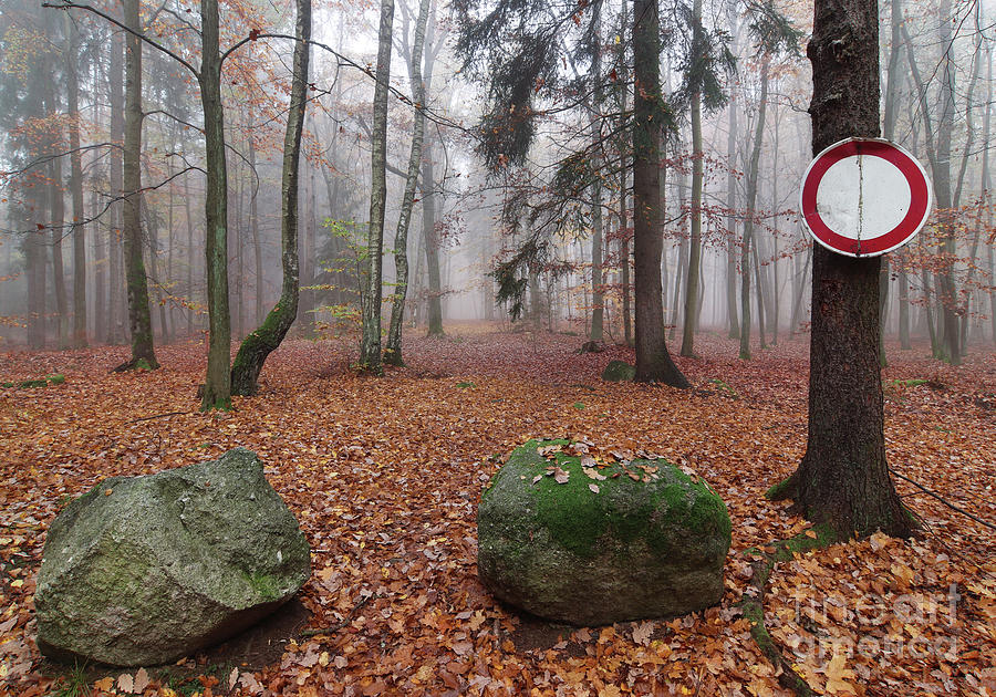 Fall Photograph - No Entry - closed to all vehicles by Michal Boubin