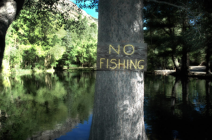 No Fishing Photograph by Russell Pierce