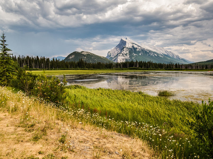 Mt. Rundle in Banff National Park Photograph by Patti Deters