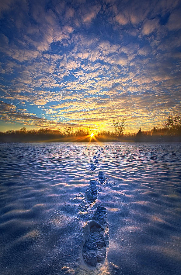 No Matter Where I Am You Will Always Be With Me Photograph by Phil Koch