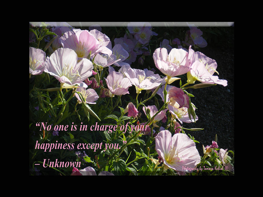 Arizona Photograph - No one is in charge of your happiness except you by Tamara Kulish