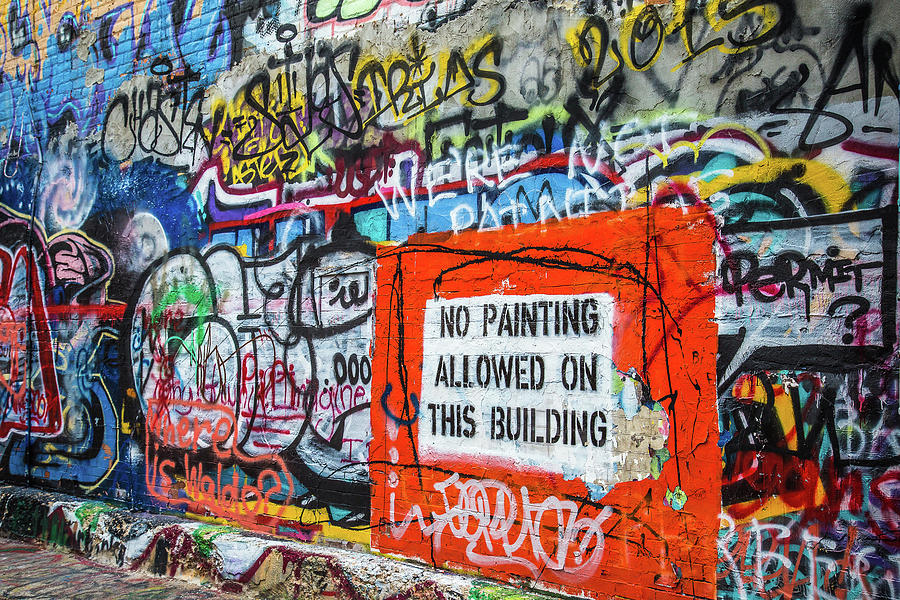 No Painting Allowed Photograph by Steven Bateson