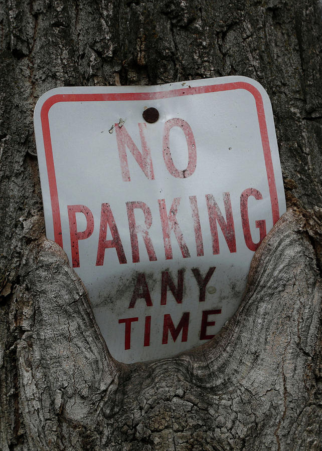 No Parking Photograph by Ely Arsha