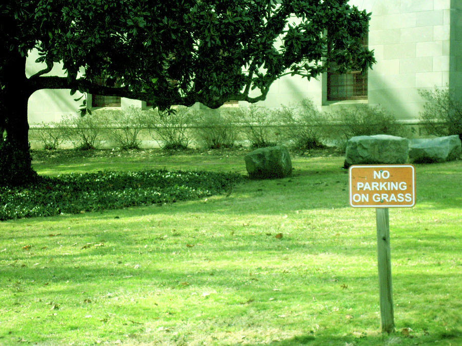 No Parking On Grass Photograph by Leigh Odom