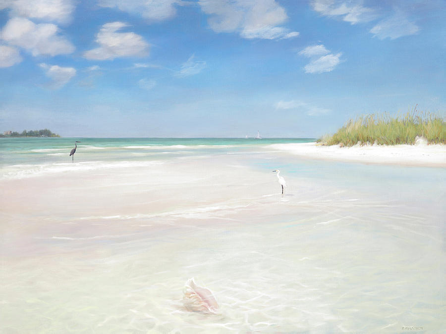 No. Siesta Key, Big Pass, So. Lido Beach by Shawn McLoughlin No. Siesta Key, Big Pass, So. Lido Beach by Shawn McLoughlin