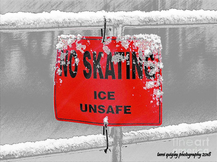 No Skating  Photograph by Tami Quigley