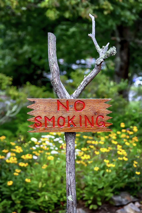 No Smoking Photograph by John Haldane