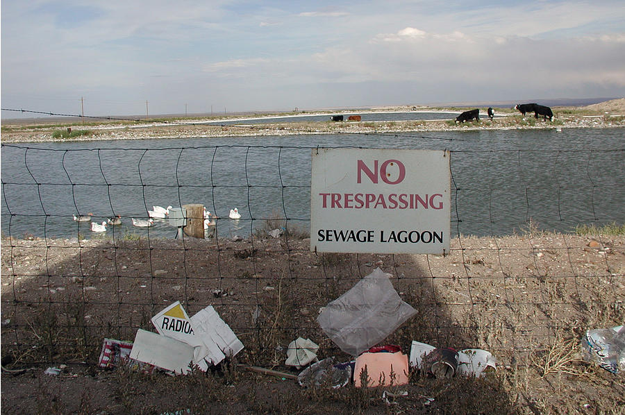 No Trespassing Photograph by DArcy Evans