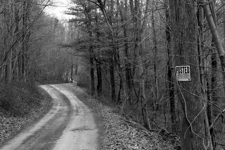 Posted Photograph - No Trespassing by Liz Allyn Posted Photograph - No Trespassing by Liz Allyn
