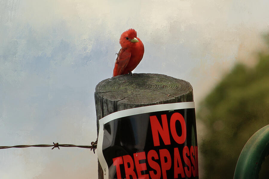No Trespassing Digital Art by TnBackroadsPhotos