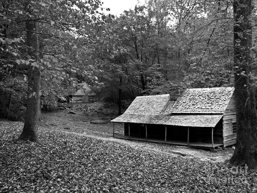 Noah Bud Ogle Series Bw1 Photograph By Sabrina Wheeler