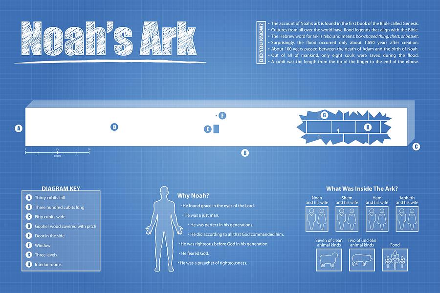 Genesis Digital Art - Noahs Ark Fact Sheet by Brett Pfister