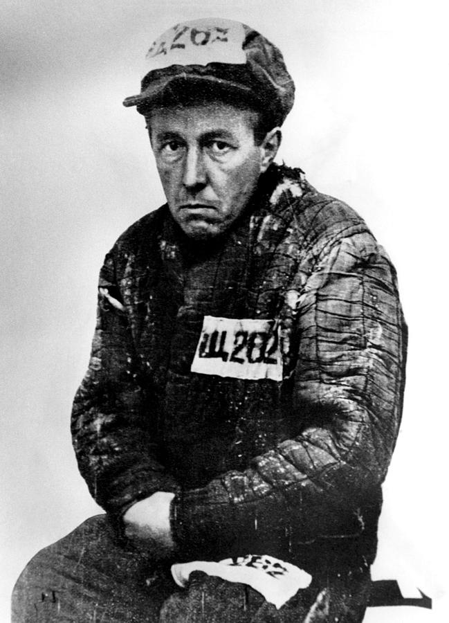 Nobel Prize Winning Author Alexander Photograph by Everett