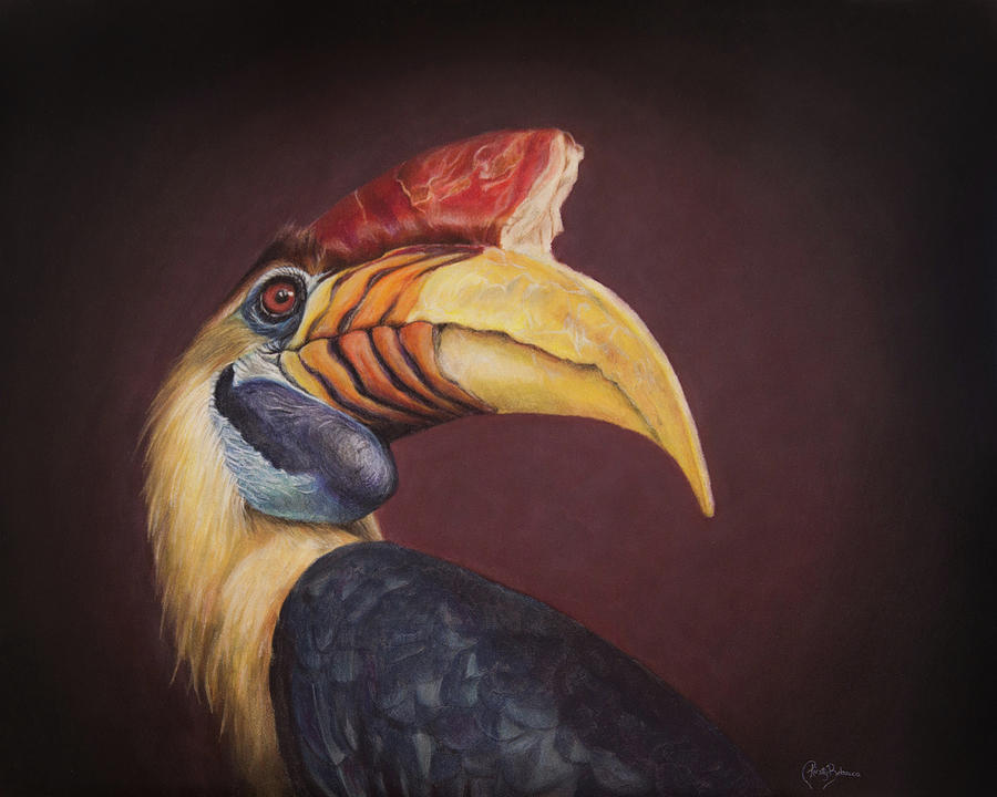 Hornbill Painting - Nobility by Kirsty Rebecca