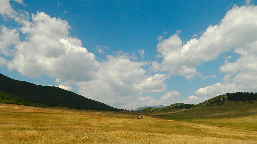 Noble Meadow Photograph by Dan Miller