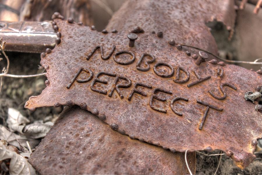 Nobodys Perfect rust rusty sign signage rustic Photograph by Jane Linders