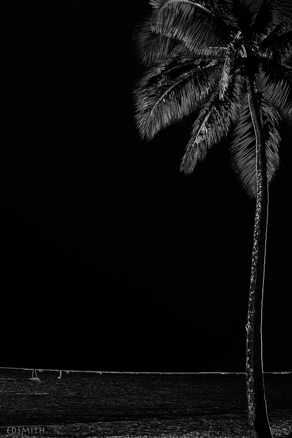 Noche Negra Photograph by Edward Smith