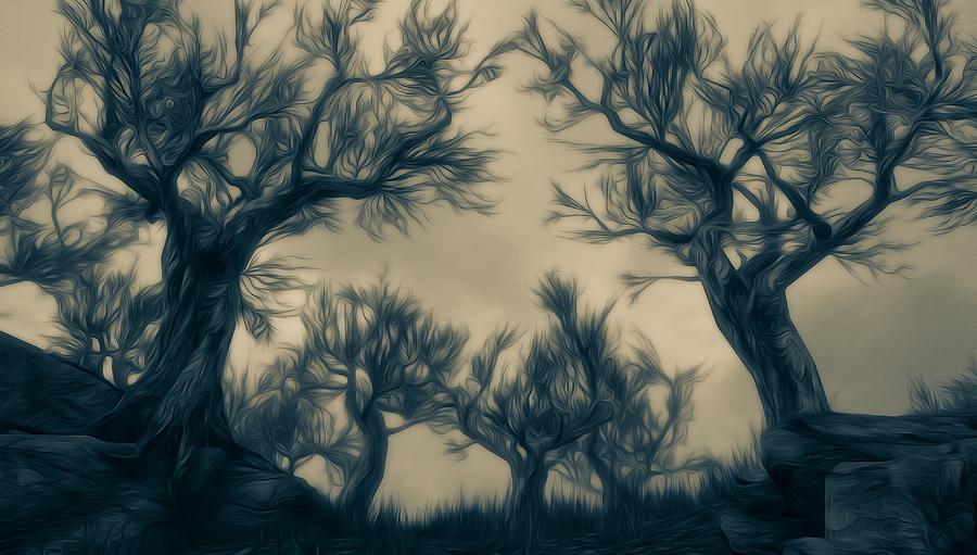 Nocturnal Forest Digital Art by AM FineArtPrints