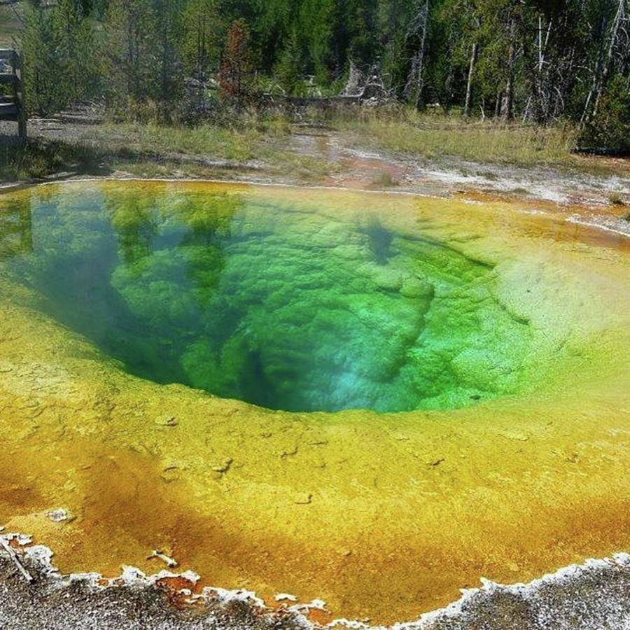 Yellowstone National Park Photograph - #nofilterneeded #morningglorypool by Patricia And Craig