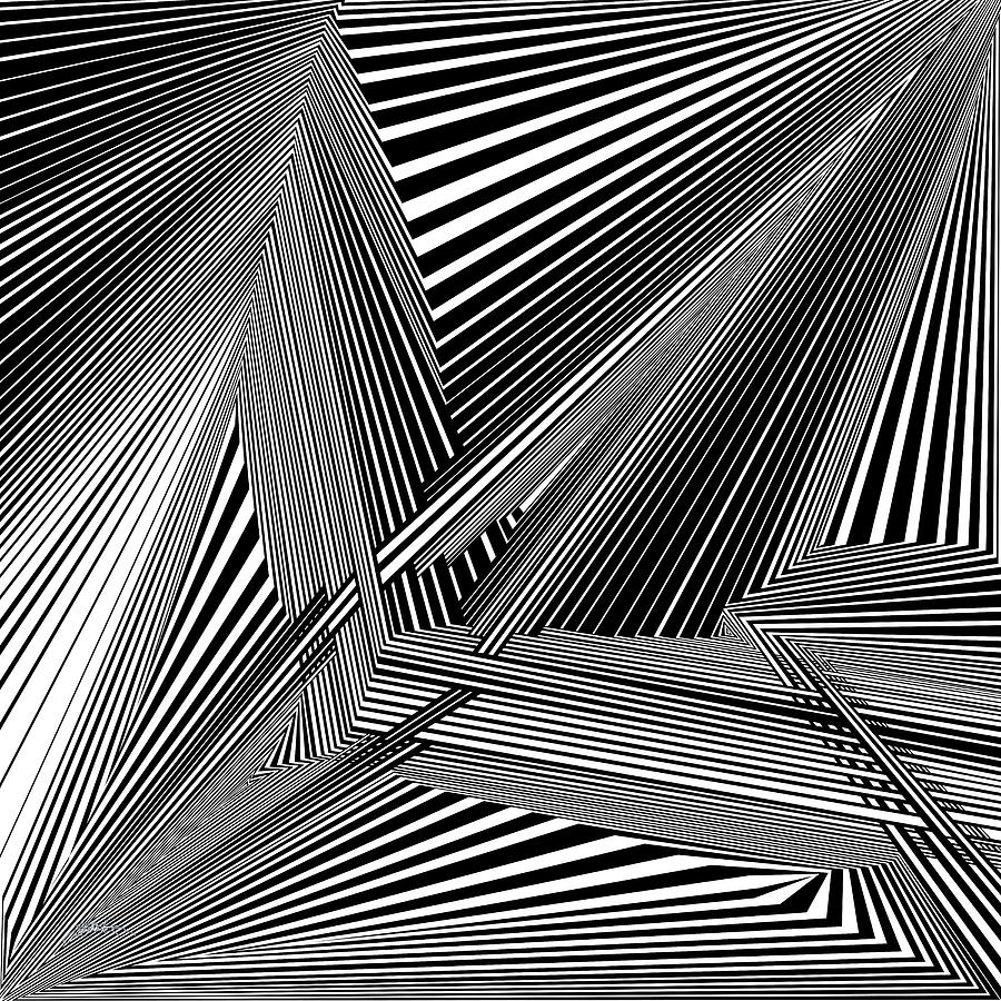 Noitceffapeed Digital Art by Douglas Christian Larsen - Fine Art America