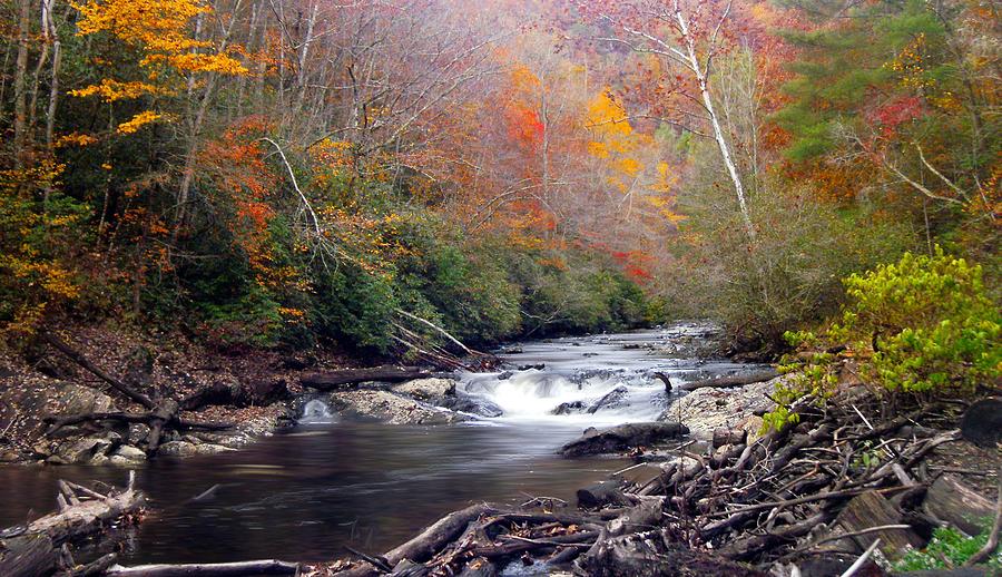 Noland Creek in Autumn Photograph by Joe Duket