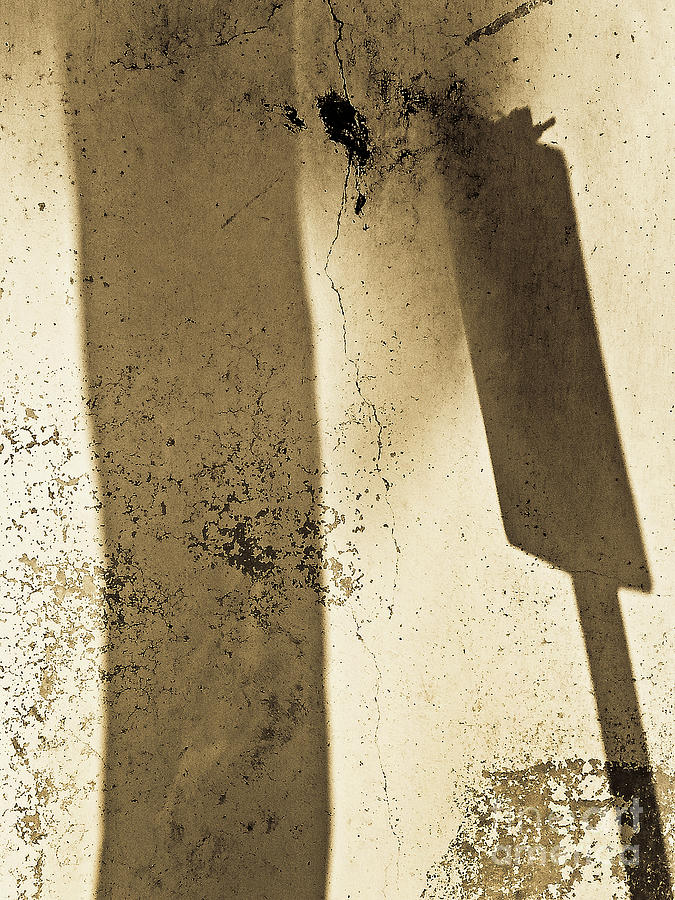 Noon Shadow No.281 Photograph by Fei A