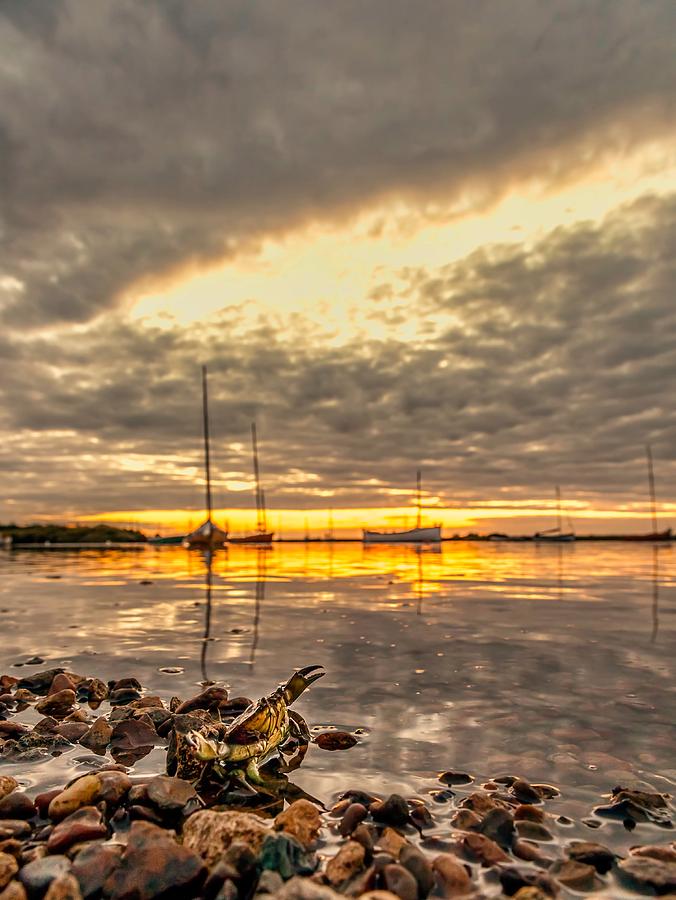 Boat Photograph - Norfolk Crab by Gary Rayner